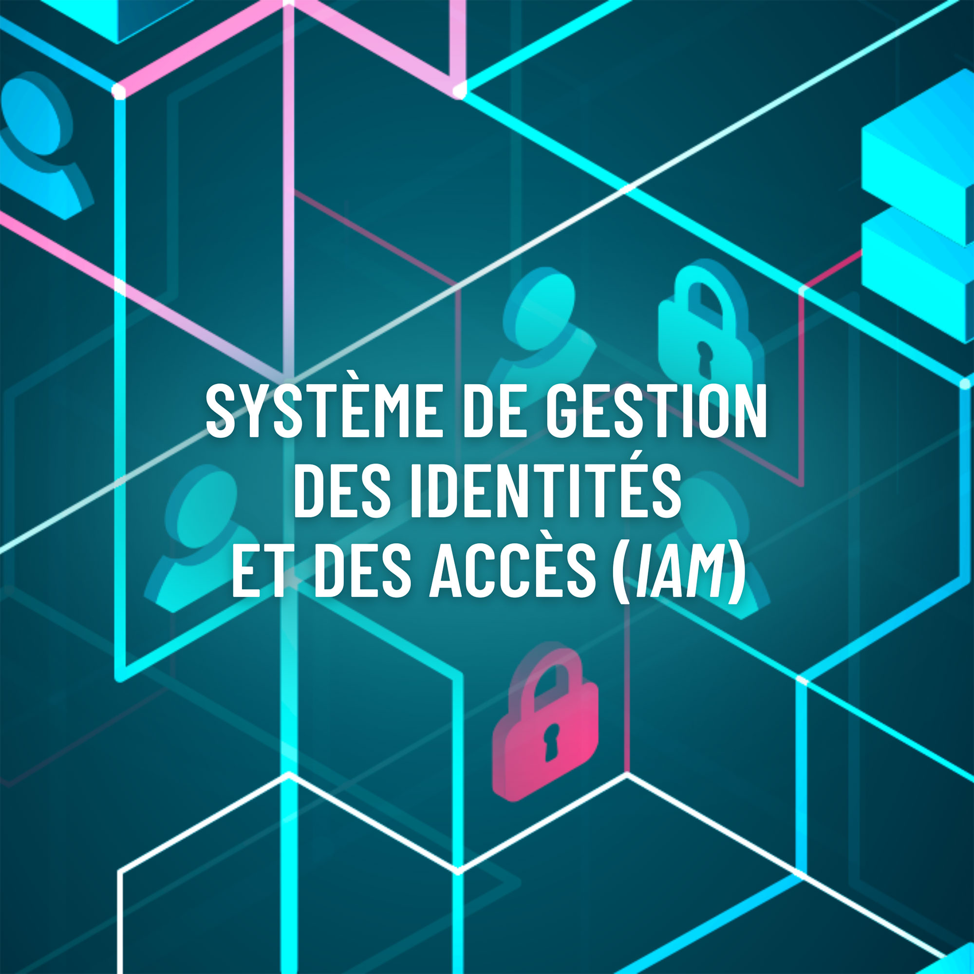 image-produit-wemonitor_iam202309-04